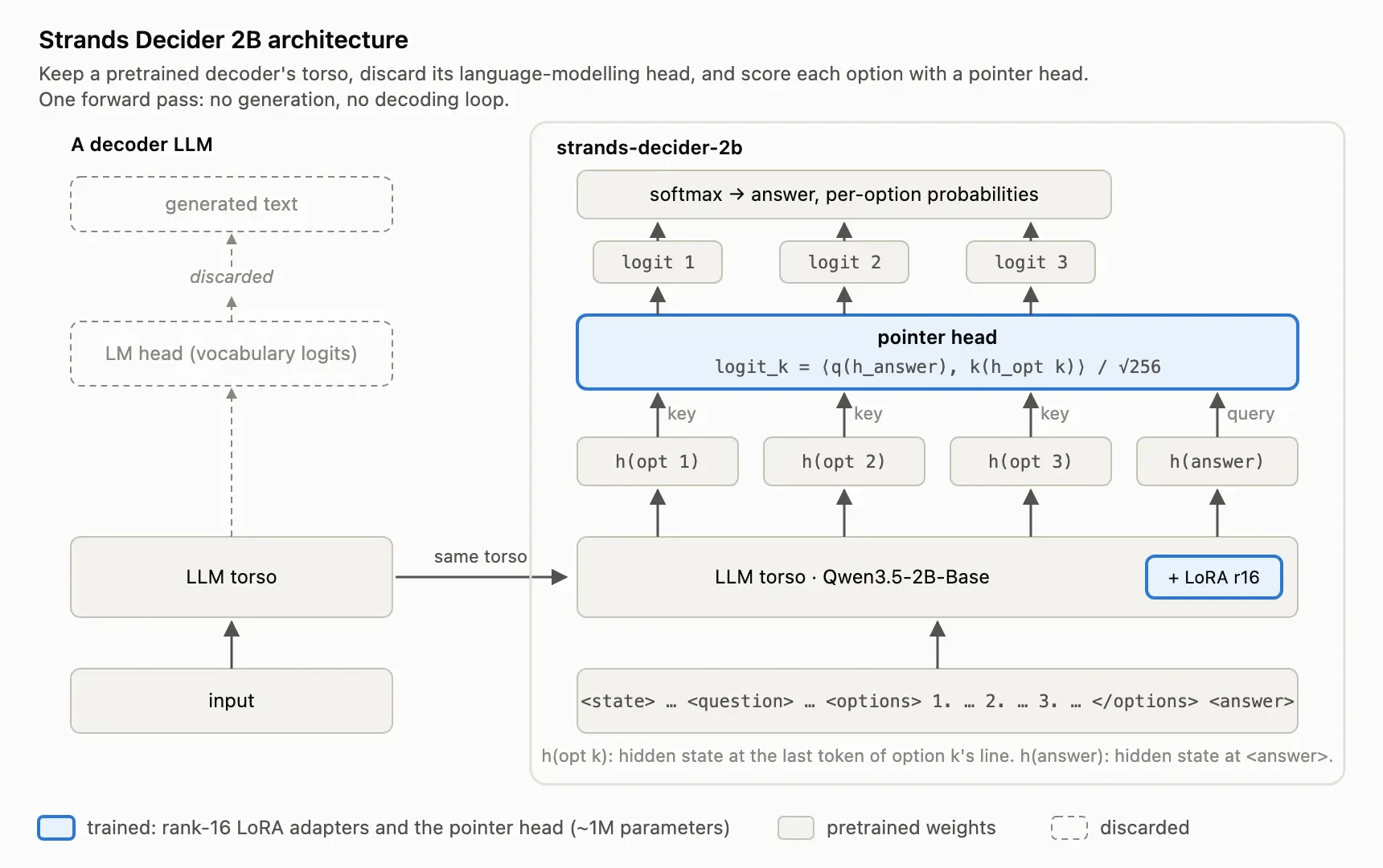 Architecture diagram of Strands Decider 2B: on the left, a decoder language model whose text-generating head is discarded; on the right, the same Qwen3.5-2B-Base torso with a LoRA adapter feeds a pointer head that turns the listed options into per-option probabilities.